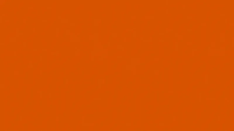 Burger Shop Website & SMM